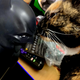 Mind the cat, she’s naturally blurry.